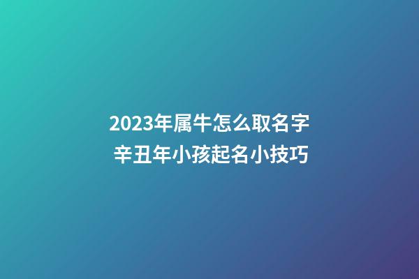 2023年属牛怎么取名字 辛丑年小孩起名小技巧